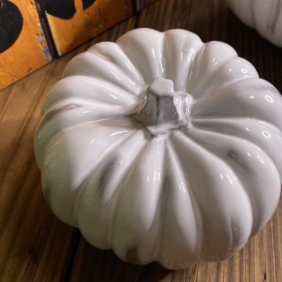 Crate&Barrel White Hand Glazed Ceramic Pumpkins - Set of Two - Medium and Small - Picture 9 of 16